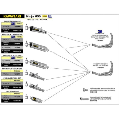 Arrow Kawasaki 650 17-20 Race-Tech Titanium with Carbon End Cap Silencer Exhaust